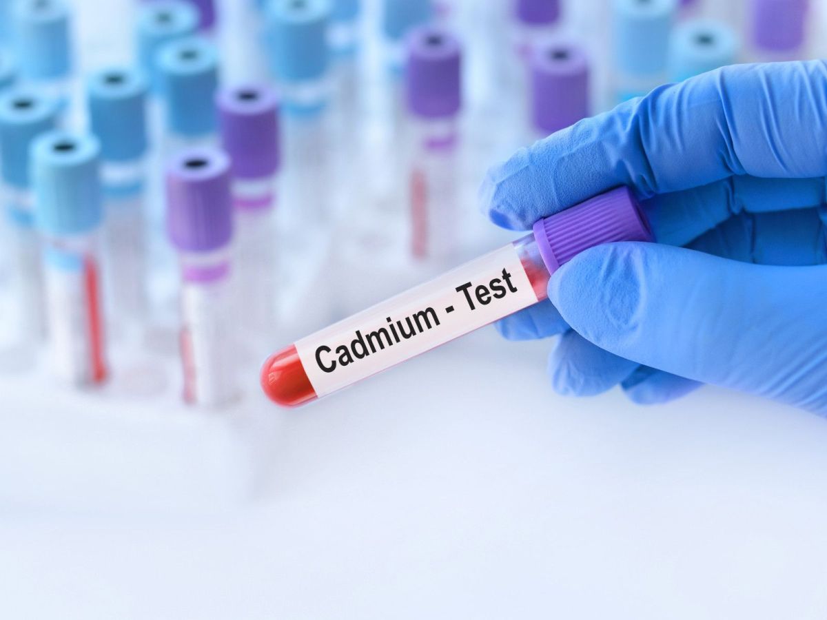 Cadmium : le dernier scandale de santé publique ? Que faut-il savoir ?