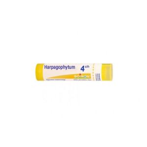 HARPAGOPHYTUM 4CH TUBE BOIRON