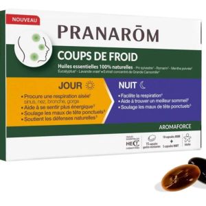 Coups de froid jour / nuit 15 Capsules