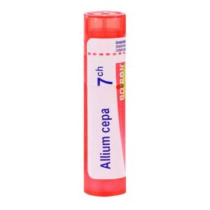 Allium cepa tube granule - 7 CH