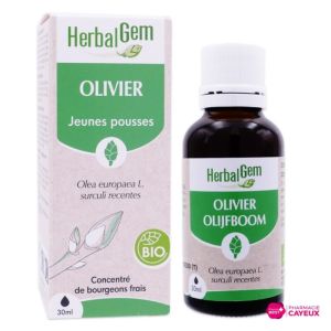 Macérat d’Olivier bio 30 ml