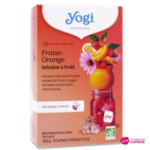 Cold Brew Fraise Orange infusion bio 15 sachets