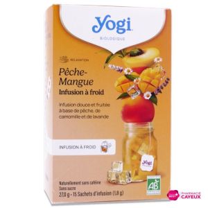 Cold Brew Pêche Mangue infusion bio 15 sachets