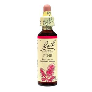 Fleurs de Bach® Original Pine ( Pin Sylvestre ) - 20 ml