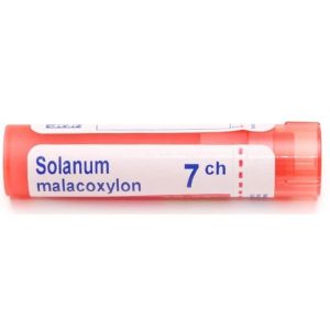 Solanum malacoxylon 7CH - 4g