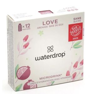 Microdrink Love Grande Bie de Goji x12