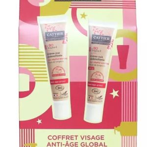 Coffret Visage anti-âge Global 2025 Noël