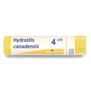 HYDRASTIS CANADENSIS 4CH TUBE BOIRON