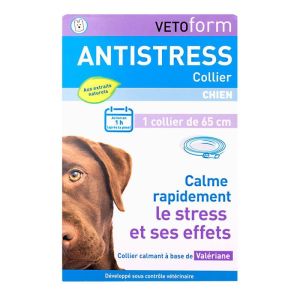 Collier antistress chien