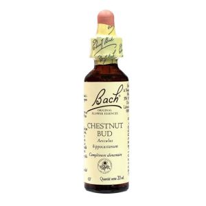 Fleurs de Bach® Original Chestnut Bud ( Bourgeon de marronnier ) - 20 ml