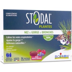 Stodal Plantes Fruits rouges - Pastilles