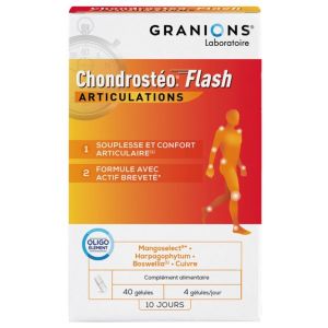 Chondrosteo Flash 40 gélules