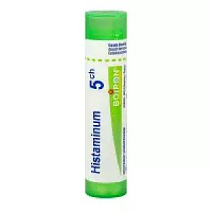 HISTAMINUM 5CH TUBE BOIRON
