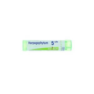 Harpagophytum 5CH Tube - 4g