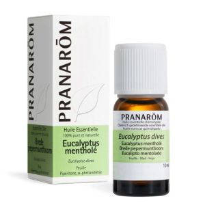 Huile essentielle Eucalyptus mentholé 10 ml