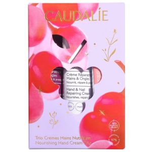 Coffret Trio Crèmes pour les Mains Nutrition Noël 2025