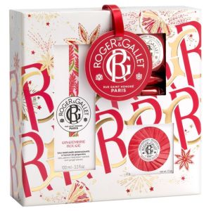 Gingembre Rouge Coffret de Noël Rituel Parfumé 100 ml