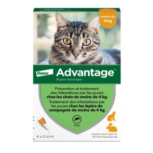 Advantage chats & lapins -4kg 4 pipettes