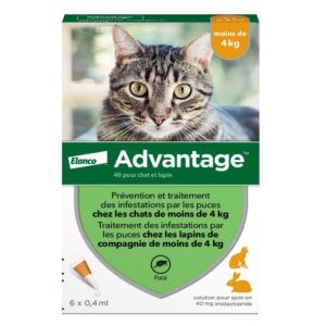 Advantage chats & lapins -4kg 6 pipettes