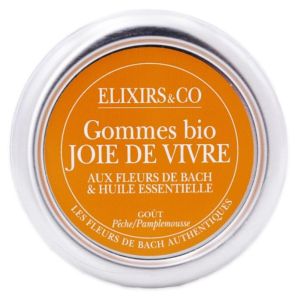 Gommes Bio Joie de vivre Pêche/Pamplemousse