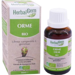 Herbalgem Macérat-mère concentré Orme 30 ml