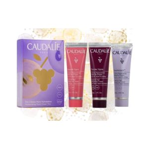 Coffret Trio Crèmes Mains 2023