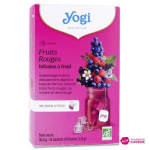 Cold Brew Fruits Rouges Vanille infusion bio 15 sachets