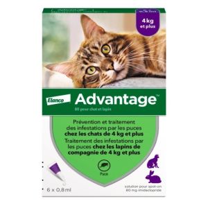 Advantage chats & lapins +4kg 6 pipettes
