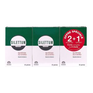 Silettum cure 3 mois 3x60 gélules
