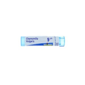 Chamomilla Vulgaris 9CH Tube - 4 g