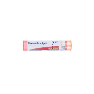 Chamomilla vulgaris Tube 7CH - 4g