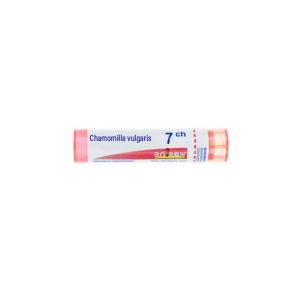 CHAMOMILLA VULGARIS 7CH TUBE BOIRON