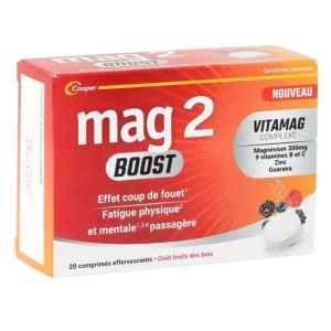 Mag 2 Boost 20 comprimés