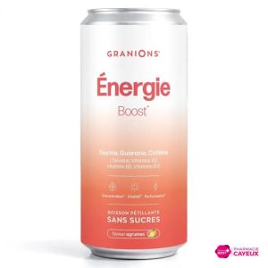 Energy Boost boisson pétillante agrumes 330 ml