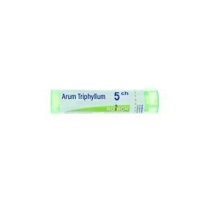 Arum Triphyllum 5CH Tube