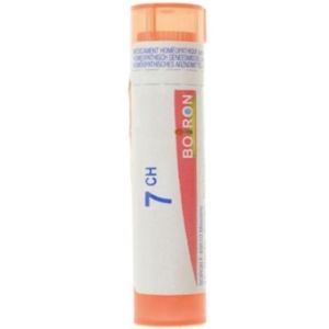 CACTUS GRANDIFLORUS 7CH TUBE BOIRON