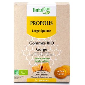 Propolis Bio large spectre - 24 gommes