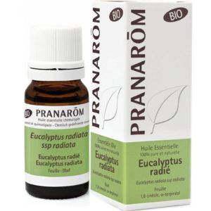 Huile essentielle Bio Eucalyptus radié 10 ml