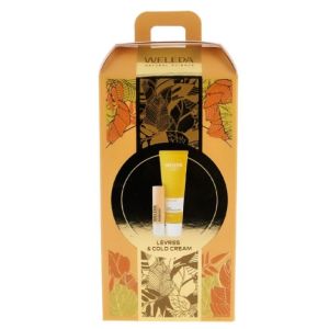 Cold Cream Visage 30 ml + Everon Soin des Lèvres 4,8 g Noël 2025