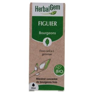 Figuier Bio 30 ml