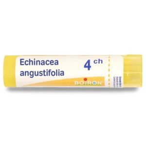 Echinacea angustifolia 4CH - 4g