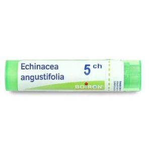 Echinacea angustifolia 5CH - 4g