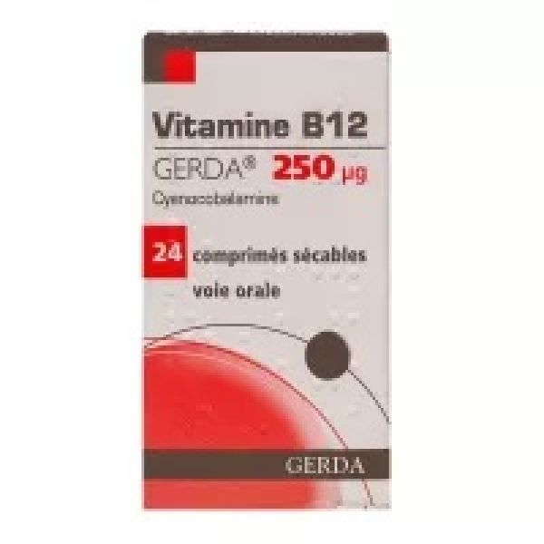 Vit B12 Gerda 250mcg Cpr E/24