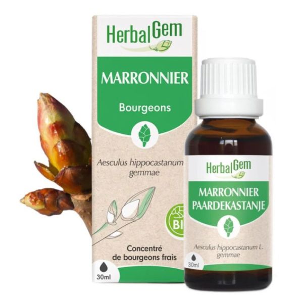 Herbalgem Macérat-mère concentré Marronnier 30 ml