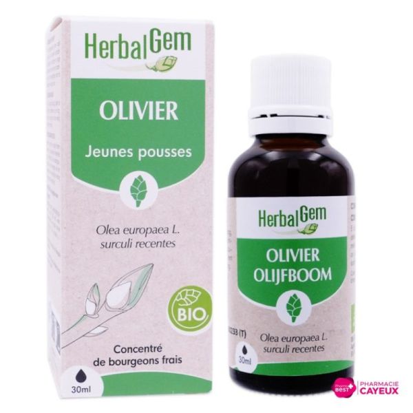 Macérat d’Olivier bio 30 ml