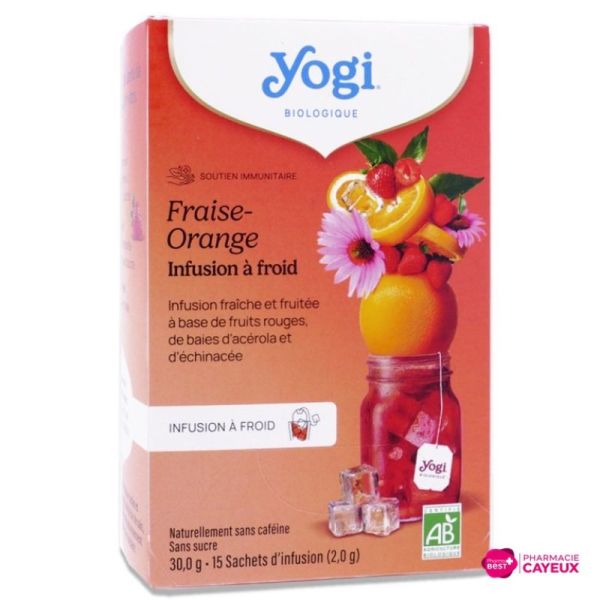 Cold Brew Fraise Orange infusion bio 15 sachets