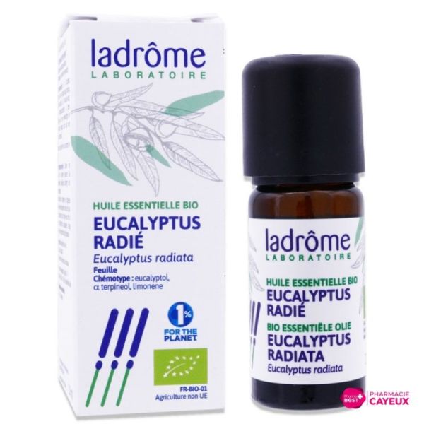 Huile essentielle d’Eucalyptus radiata bio 10 ml