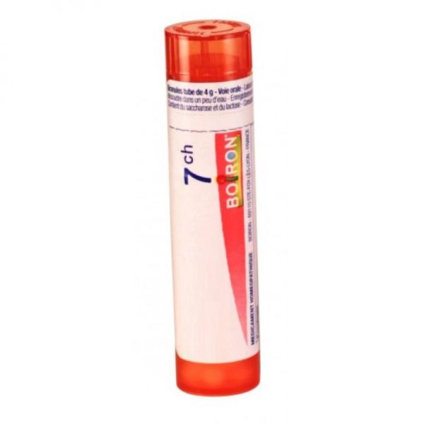 Allium Sativum tube granules 7ch