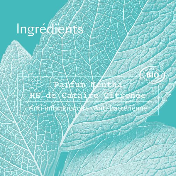 MENTHA 48H LOT 2 DEODORANTS - 2*50 ML