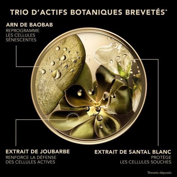 Premium Le Sérum Absolu anti-âge 30ml